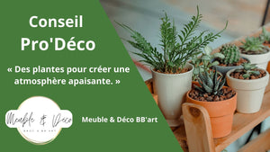 Des plantes pour créer une atmosphère plus naturelle et apaisante. - BB'art meuble & déco