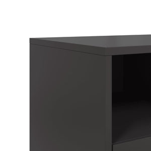 Meuble Tv 100,5X39X43,5 Cm Acier