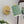 Applique murale Nordic Macaron – Bois et métal vert pour éclairage minimaliste 