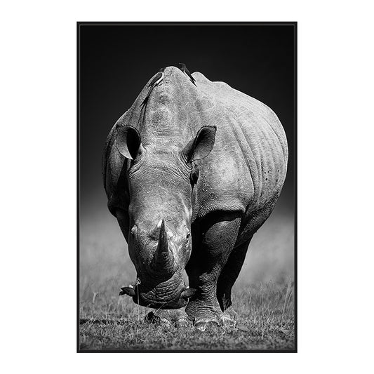 Toile noir et blanc - Rhino