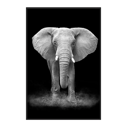 Toile noir et blanc - Eléphant