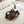 Table Basse Verre Trempé & Noyer — Légèreté et Chaleur - Tables basses