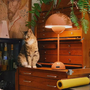 Lampe Flowerpot idéal comme lampe de bureau