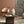 Table basse TOKE - dark brown - Tables basses