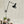Suspension FREYA – noire - applique murale