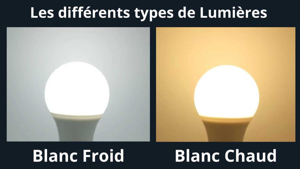 Lumière chaude et lumière froide