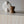 Table basse York beige dans un salon moderne
