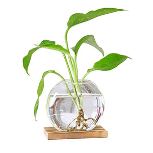 Vase en verre Minimaliste sur socle 