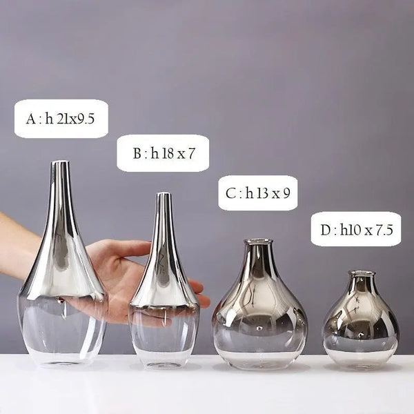 Vase Transparent Hydroponic - BB'art meuble & déco