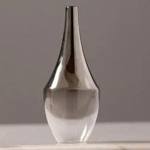 Vase Transparent Hydroponic - BB'art meuble & déco