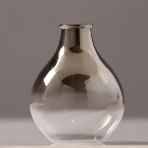 Vase Transparent Hydroponic - BB'art meuble & déco