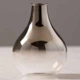 Vase Transparent Hydroponic - BB'art meuble & déco